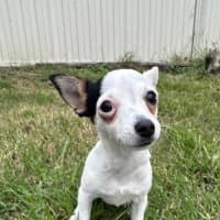 Photo of Jolly