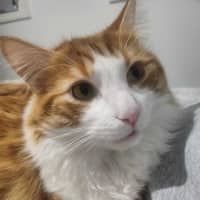 Photo of Jasper