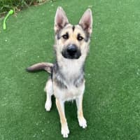 Photo of Sookie Imp 2206