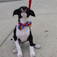 Photo of Tully