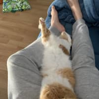 Photo of Frodo Beans
