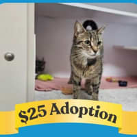 Photo of Eggnogatha Christie