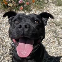 Photo of Cherry Licious Soda Pop