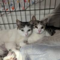 Photo of Miles & Maggie