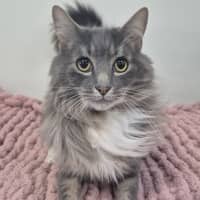 Photo of Ragnar