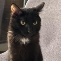 Photo of Morticia