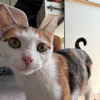 Photo of Juliet