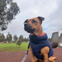 Photo of Zara