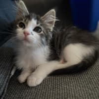 Photo of Bruce And Macey