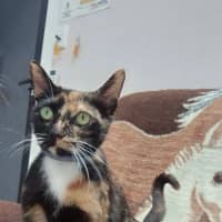 Photo of Faye (8925)