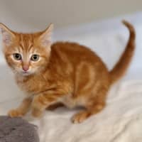 Photo of Leroy