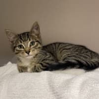 Photo of Oliver