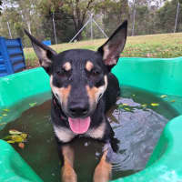 Photo of Roxi