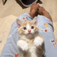 Photo of Maui & Wowie