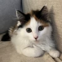 Photo of Candy