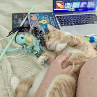 Photo of Peaches