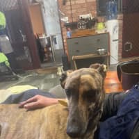 Photo of Tin Tin 27kg