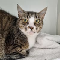 Photo of Junie