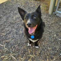 Photo of Thor