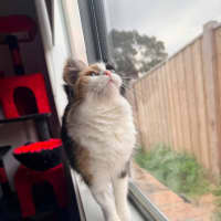 Photo of Lola