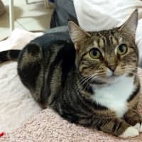 Photo of Bonnie Sta014805