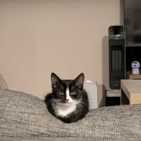 Photo of Nigel
