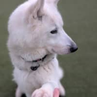 Photo of Storm