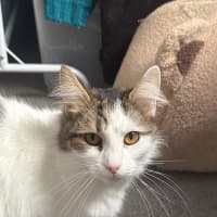 Photo of Claire