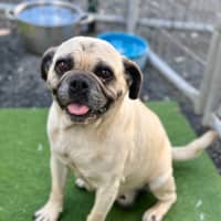Photo of Wilma