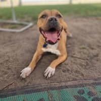 Photo of Betsy