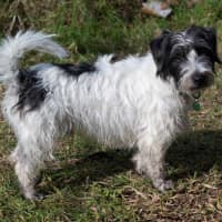 Photo of Bean And Dunkin Russelton