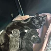 Photo of Betty🎶🎶❤️