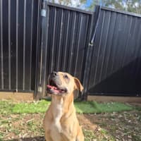Photo of Charlie Bear
