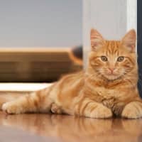 Photo of Hansel Moriarty