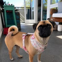 Photo of Gabby