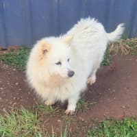 Photo of Bliss & Crystal