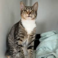 Photo of Whitney 