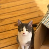 Photo of Larry