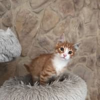 Photo of Pj