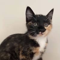 Photo of Lucille 