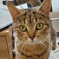 Photo of Miss Smooch