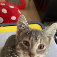 Photo of Maya