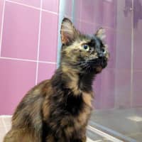 Photo of Hera