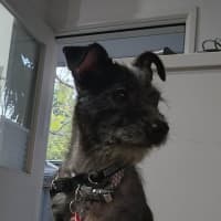 Photo of Chloe 