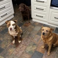 Photo of Brandylicious