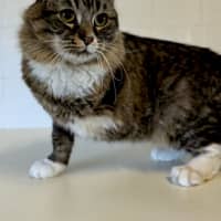 Photo of Tobi 