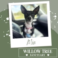 Photo of Mia