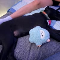 Photo of Coco