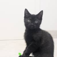 Photo of River Meet Me @ Petstock Hastings Store