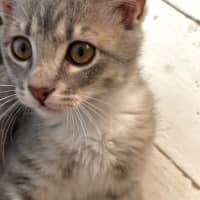 Photo of Bebe